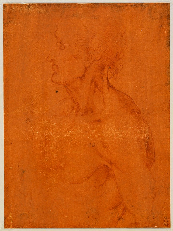 Leonardo da Vinci - RCIN 912598, The bust of a nude old man, showing the muscles of the neck c.1510