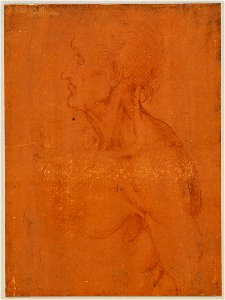 Leonardo da Vinci - RCIN 912598, The bust of a nude old man, showing the muscles of the neck c.1510