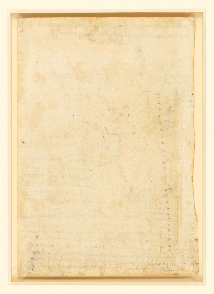 Leonardo da Vinci - RCIN 912604, v, The fall of light on a face c.1488
