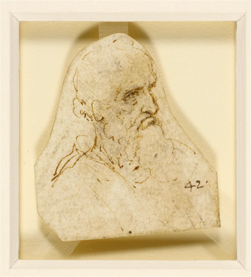 Leonardo da Vinci - RCIN 912466, The head of an old bearded man c.1495