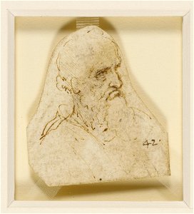 Leonardo da Vinci - RCIN 912466, The head of an old bearded man c.1495