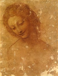 Leonardo, testa di leda, castello sforzesco. Free illustration for personal and commercial use.