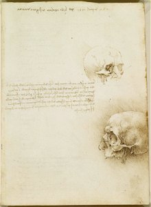 Leonardo da Vinci - RCIN 919059, Recto The cranium