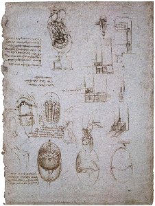 Leonardo da vinci, Studies of the Villa Melzi and anatomical study
