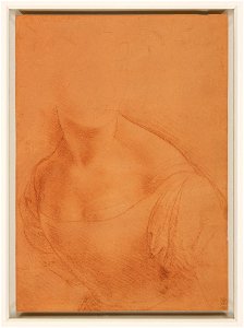 Leonardo da Vinci - RCIN 912514, The bust of the Madonna c.1500