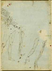 Leonardo da Vinci - RCIN 912613, Recto The bones and nerves of the arm