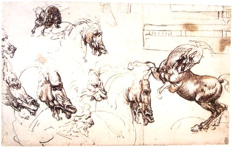 Leonardo da vinci, Study of horses for the Battle of Anghiari