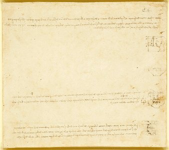Leonardo da Vinci - RCIN 919129, Studies of the proportions of the face c. 1490