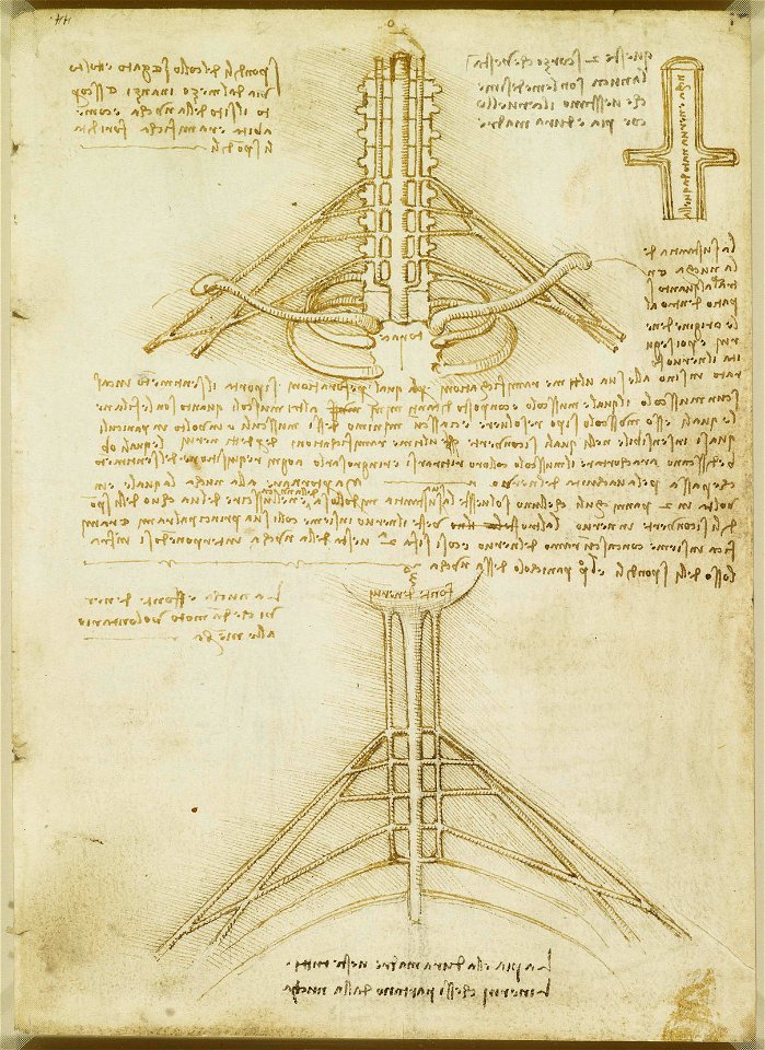 Leonardo da Vinci - RCIN 919040, Verso The brachial plexus and nerves of the arm c.1508