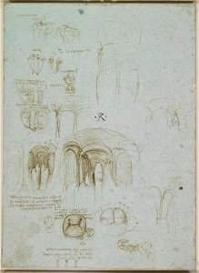 Leonardo da Vinci - RCIN 919080, Recto The left ventricle and mitral valve