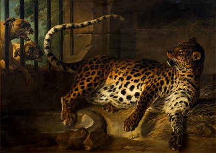 Leopard in a Cage confronted by two Mastiffs (Jean-Baptiste Oudry) - Nationalmuseum - 17866