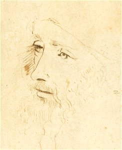 Leonardo da Vinci, new portrait
