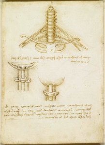 Leonardo da Vinci - RCIN 919021, Verso The brachial plexus c.1508