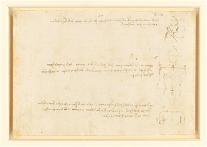 Leonardo da Vinci - RCIN 919130, Recto Studies of human proportion