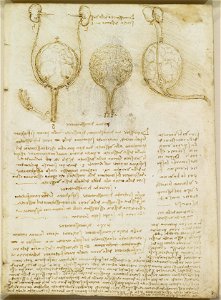 Leonardo da Vinci - RCIN 919054, Recto The bladder