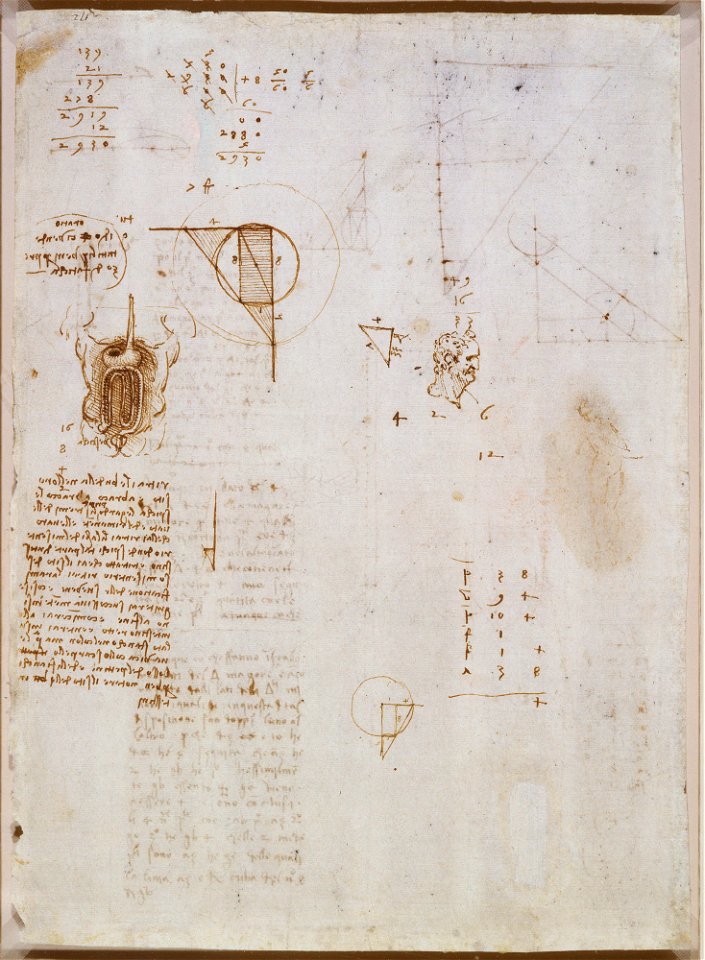 Leonardo da Vinci - RCIN 912642, Verso A study of the digestive organs, the head of an old man in profile, a rubbed study of Leda, and geometrical diagrams c.1506-8