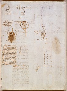 Leonardo da Vinci - RCIN 912642, Verso A study of the digestive organs, the head of an old man in profile, a rubbed study of Leda, and geometrical diagrams c.1506-8
