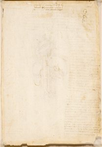 Leonardo da Vinci - RCIN 919112, Verso A figure in profile showing the position of the lungs, with notes c. 1508-10