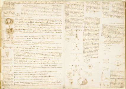 Leonardo da Vinci - RCIN 919117, Recto Studies of the nerves and muscles, the heart, and optics
