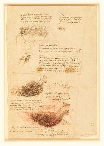 Leonardo da Vinci - RCIN 912662, Studies of water c.1510-12