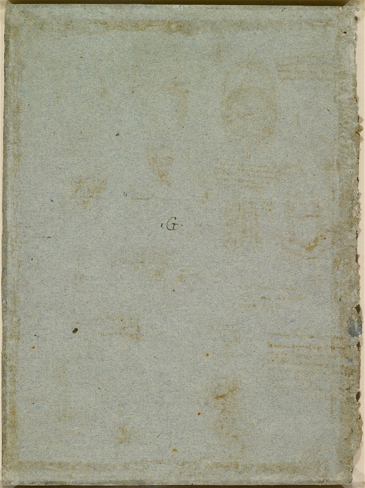 Leonardo da Vinci - RCIN 919077, v, The diaphragm of a dog, and other studies 1513