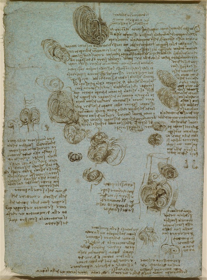 Leonardo da Vinci - RCIN 919083, Blood flow through the aortic valve c.1512-13