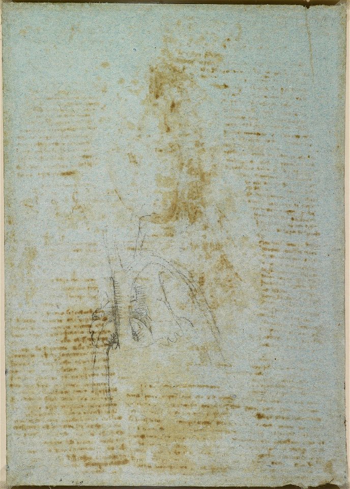 Leonardo da Vinci - RCIN 919071, Verso A sketch of the heart and great vessels c.1511-13