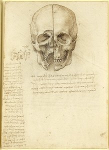 Leonardo da Vinci - RCIN 919058, Verso The skull sectioned 1489