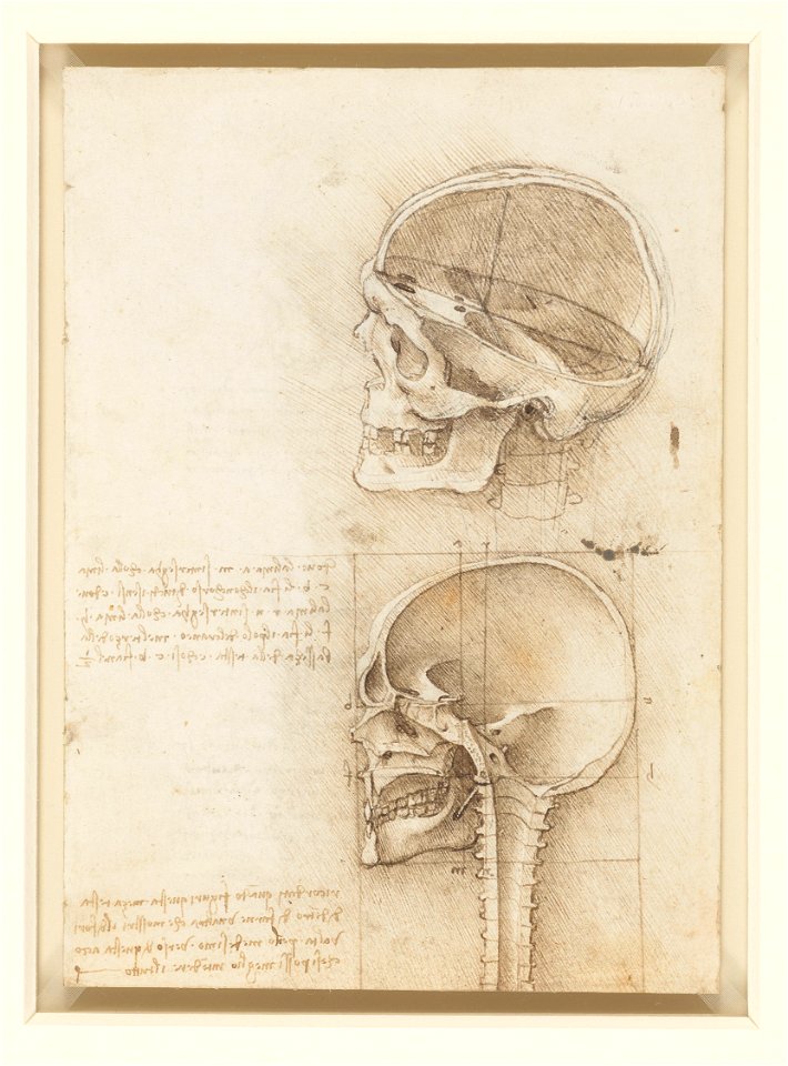Leonardo da Vinci - RCIN 919057, Recto The skull sectioned