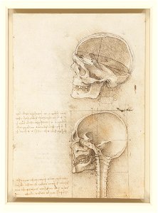 Leonardo da Vinci - RCIN 919057, Recto The skull sectioned