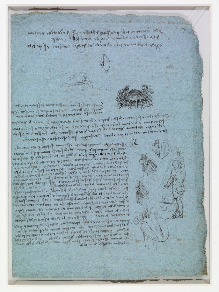 Leonardo da Vinci - RCIN 919087, Recto Studies of the heart, notes on light and shade, and a standing figure