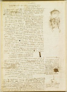 Leonardo da Vinci - RCIN 919065, Verso Notes on the movement of the diaphragm and the stomach, with diagrams c.1511-12