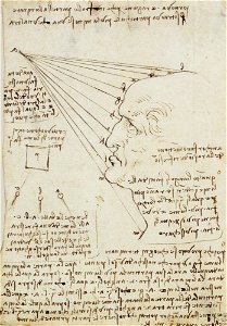 Leonardo da Vinci - Royal Collection - Studio della luce sul volto