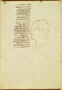 Leonardo da Vinci - RCIN 919018, Verso The veins of the scalp, and a programme of anatomical investigations 1489 and c.1508