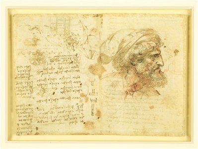 Leonardo da Vinci - RCIN 919106, Recto The bust of a man in profile, studies of intertwined oak, and other studies