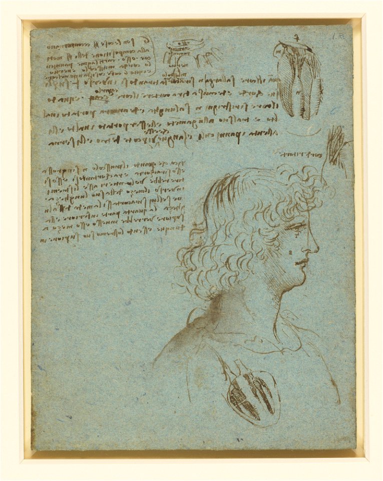 Leonardo da Vinci - RCIN 919093, Studies of the heart, and the head of a youth in profile c. 1511-13