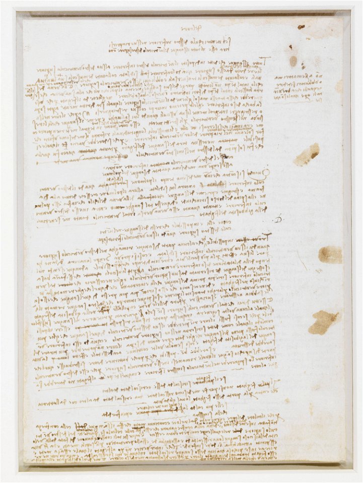 Leonardo da Vinci - RCIN 919063, Recto Notes on the heart and motion of the blood