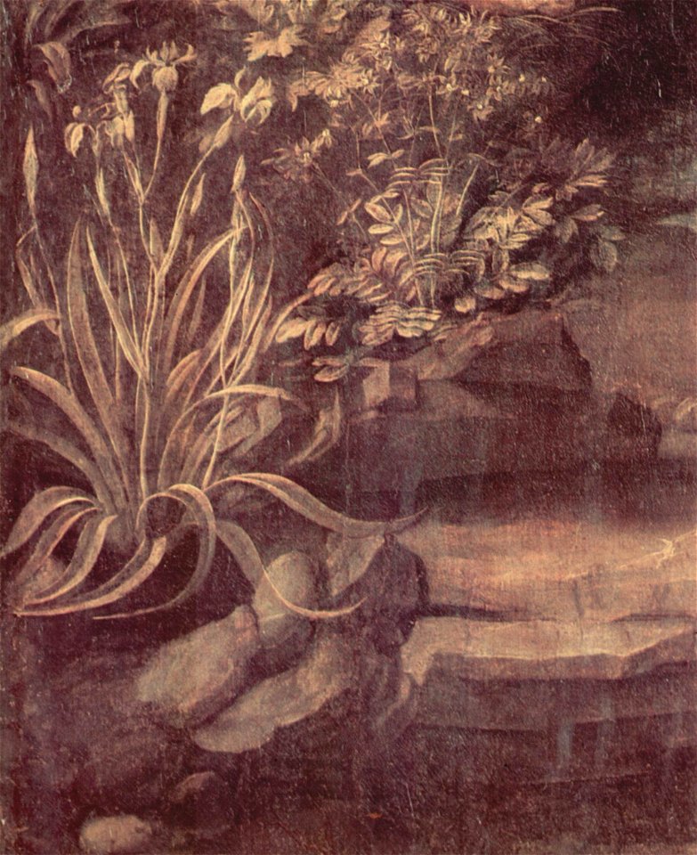 Leonardo da Vinci 030