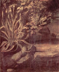 Leonardo da Vinci 030