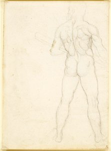 Leonardo da Vinci - RCIN 919043, A man seen from behind c.1508