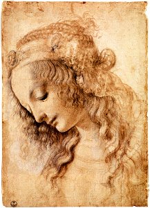 Leonardo da Vinci - Woman's Head - WGA12746