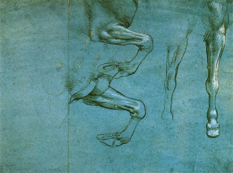 Leonardo da vinci, studio delle gambe anteriori di un cavallo, 1490 circa, torino, biblioteca reale