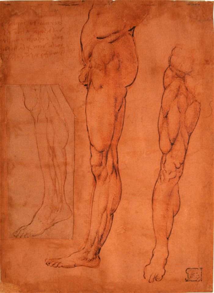 Leonardo da Vinci - Sketchbook Leaf Myology of the Lower Limbs of Three Legs; Autograph Note, 1355