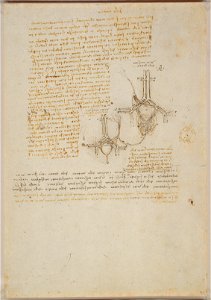 Leonardo da Vinci - RCIN 919060, Studies of the blood supply of the uterus and foetus, and notes on mechanics c.1510-13