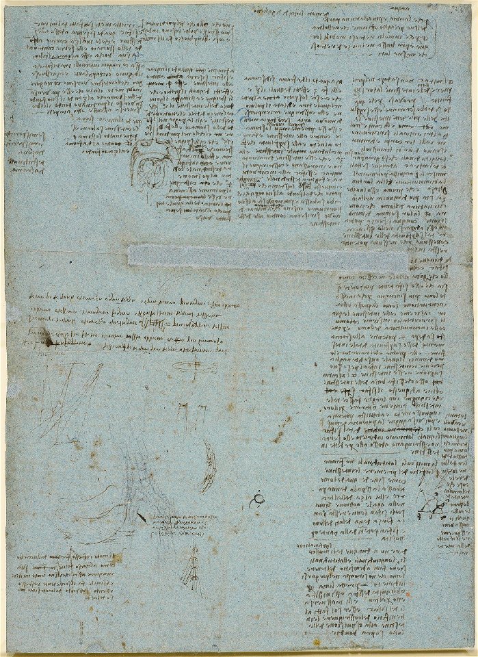 Leonardo da Vinci - RCIN 919086, Recto Studies of the alimentary tract, and other miscellaneous notes