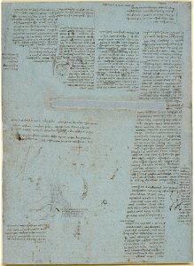 Leonardo da Vinci - RCIN 919086, Recto Studies of the alimentary tract, and other miscellaneous notes