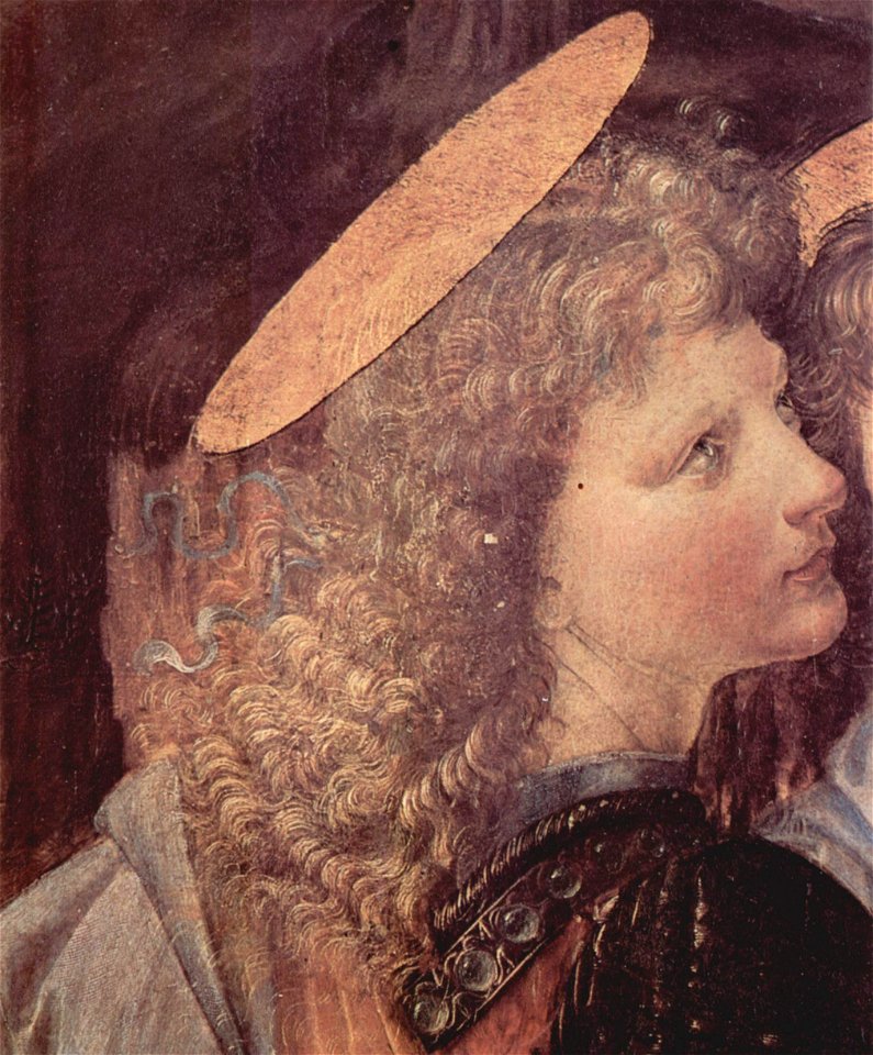 Leonardo da Vinci 017