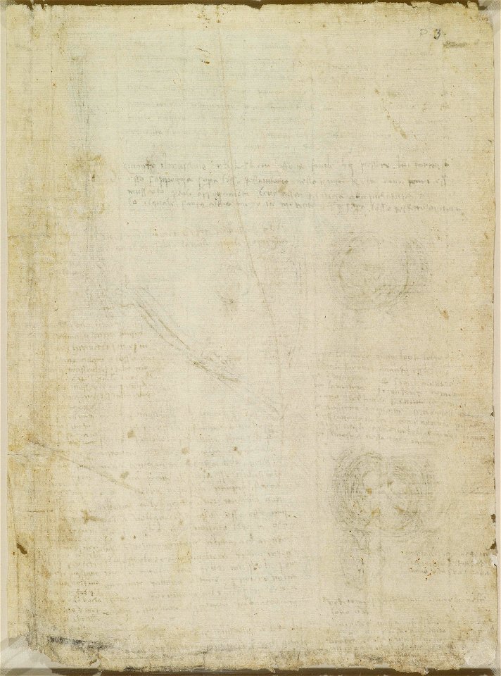 Leonardo da Vinci - RCIN 919103, v, The rotation of the arm, and the foetus in the womb c.1511