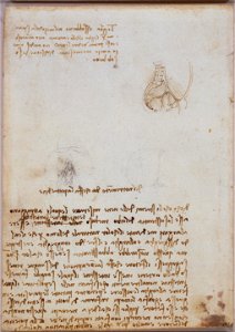 Leonardo da Vinci - RCIN 919053, Verso The lumbar vessels and notes on the intestines c.1508
