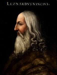 Leonardus Vincius - Serie Gioviana